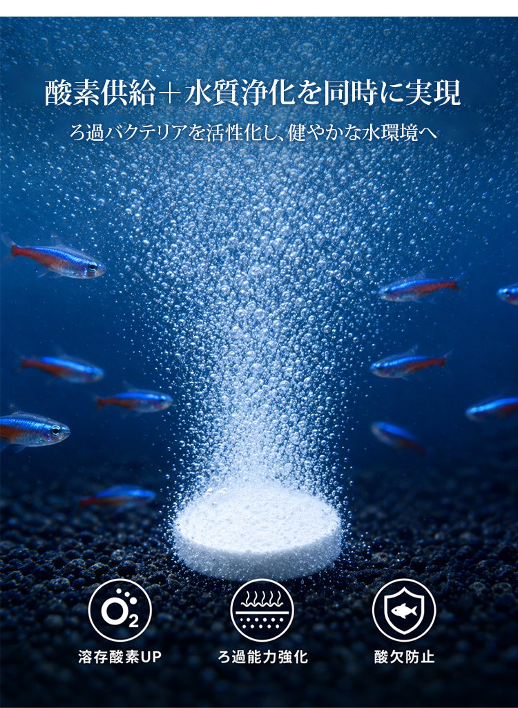 片_13.jpg