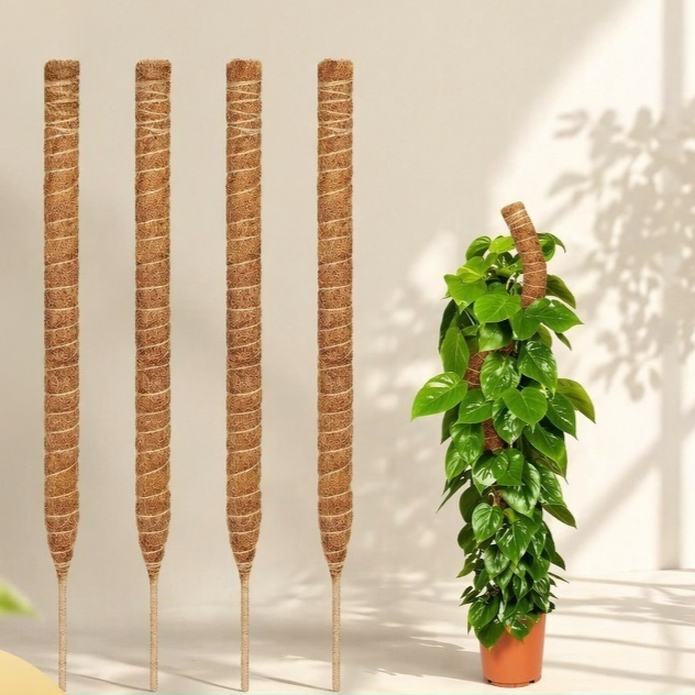 Tuteur créatif pour Monstera, support d'escalade pour plantes