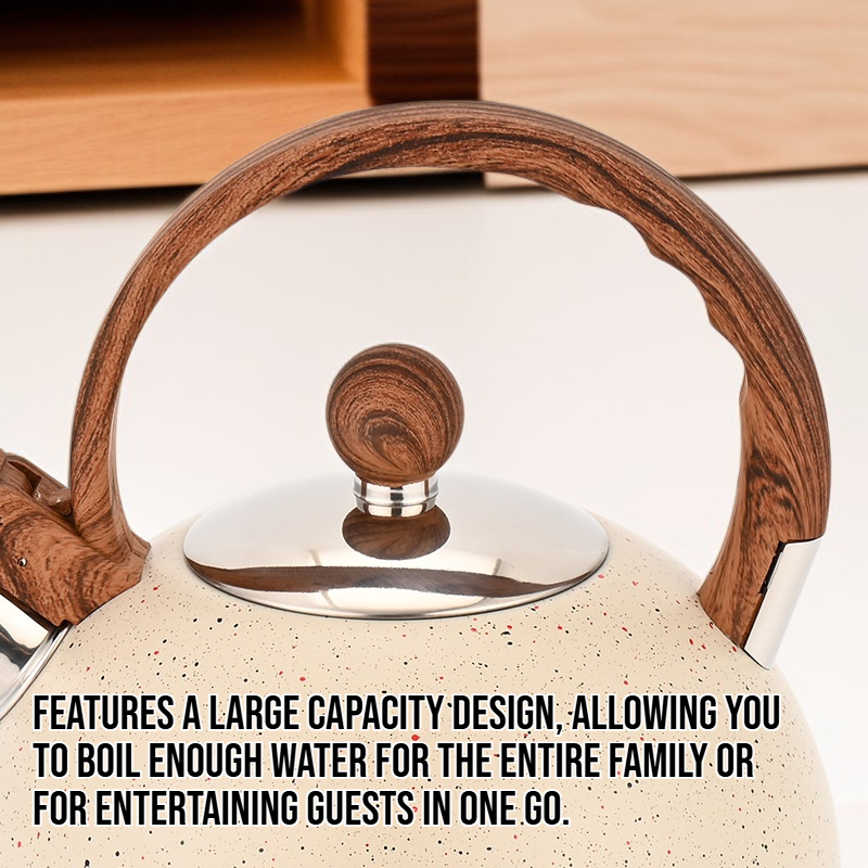 Stainless steel thickened household large capacity kettle