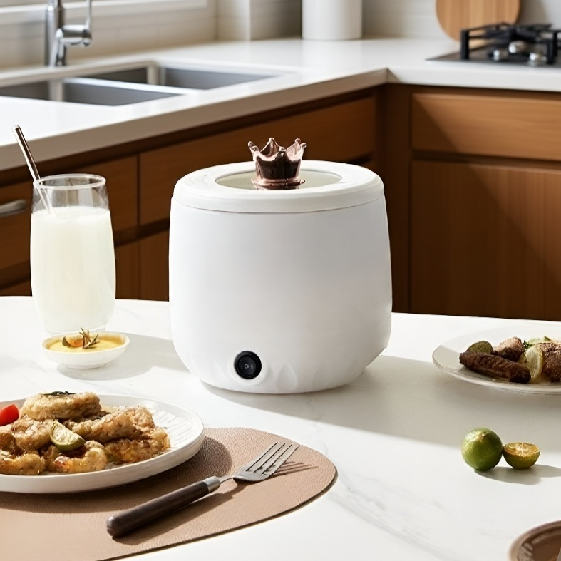 다용도 소형 전기밥솥 디자인