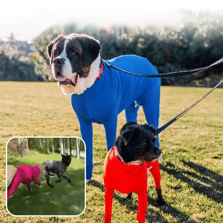 冬用防寒オールインワンペットウェア