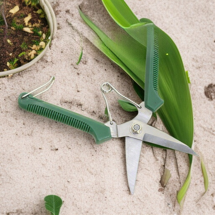 과일채취용 가지치기 도구 사용 모습