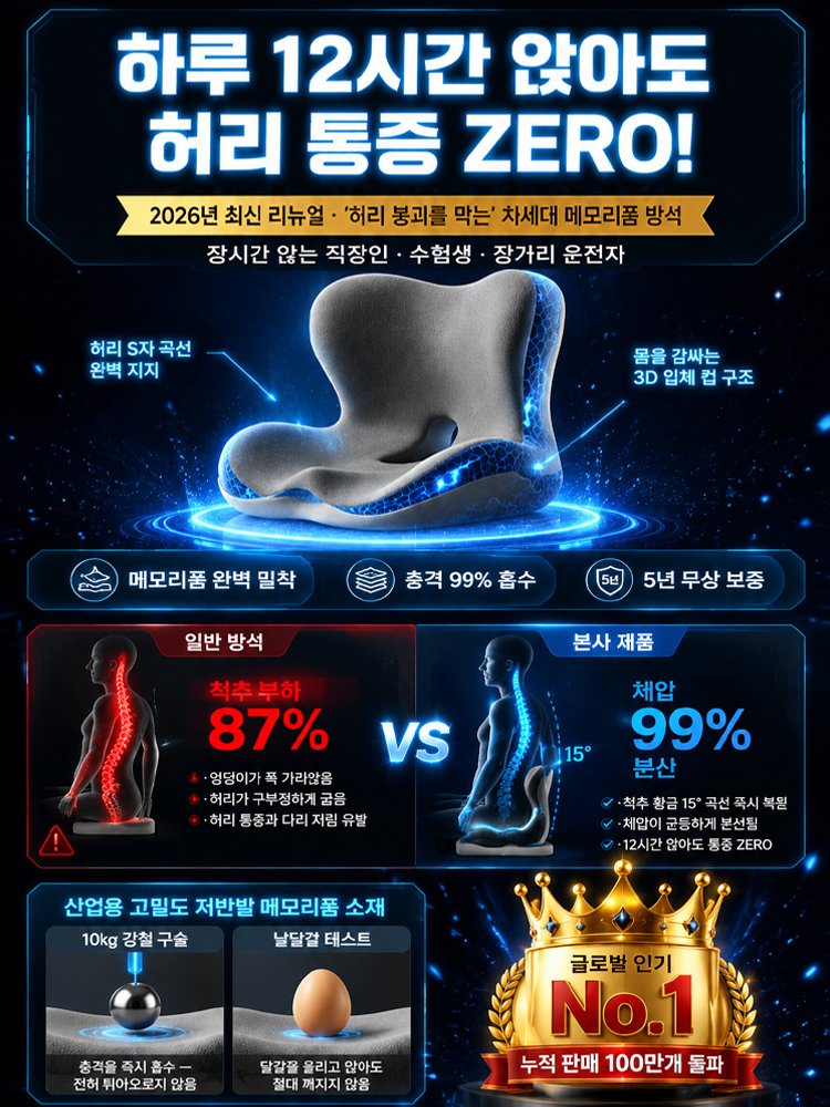 독일정형설계 무중력 아이스 젤  등받이 일체형 자세교정 방석