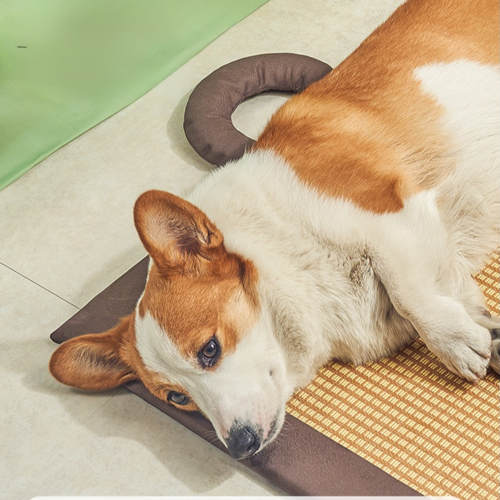 통기성 고양이 매트
