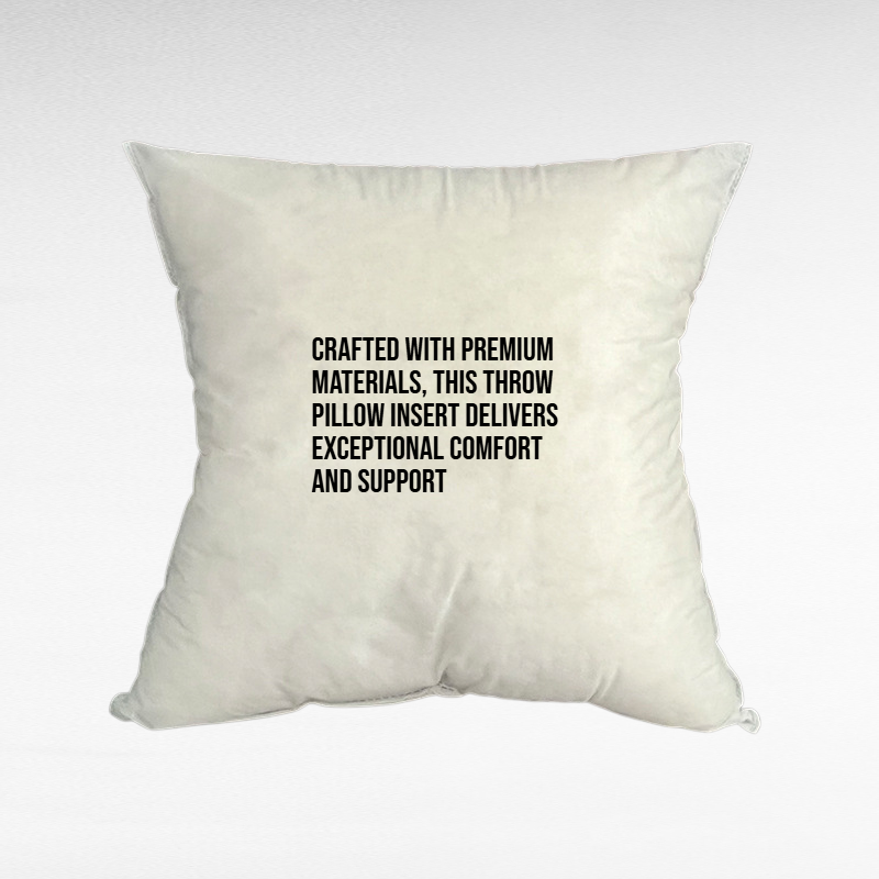 Sofa Cushion Pillow Insert Throw Pillow