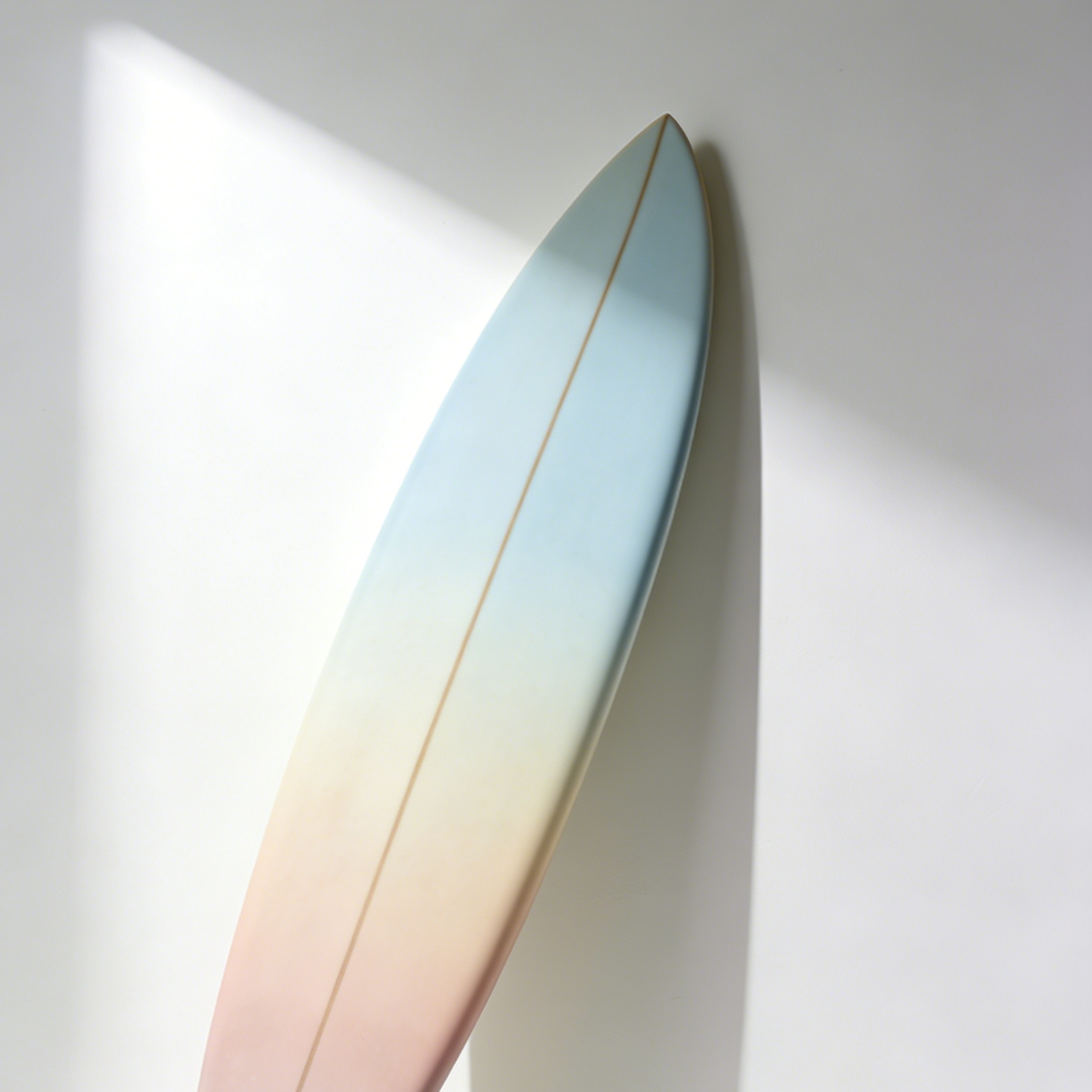 전문 서핑보드 입문자용