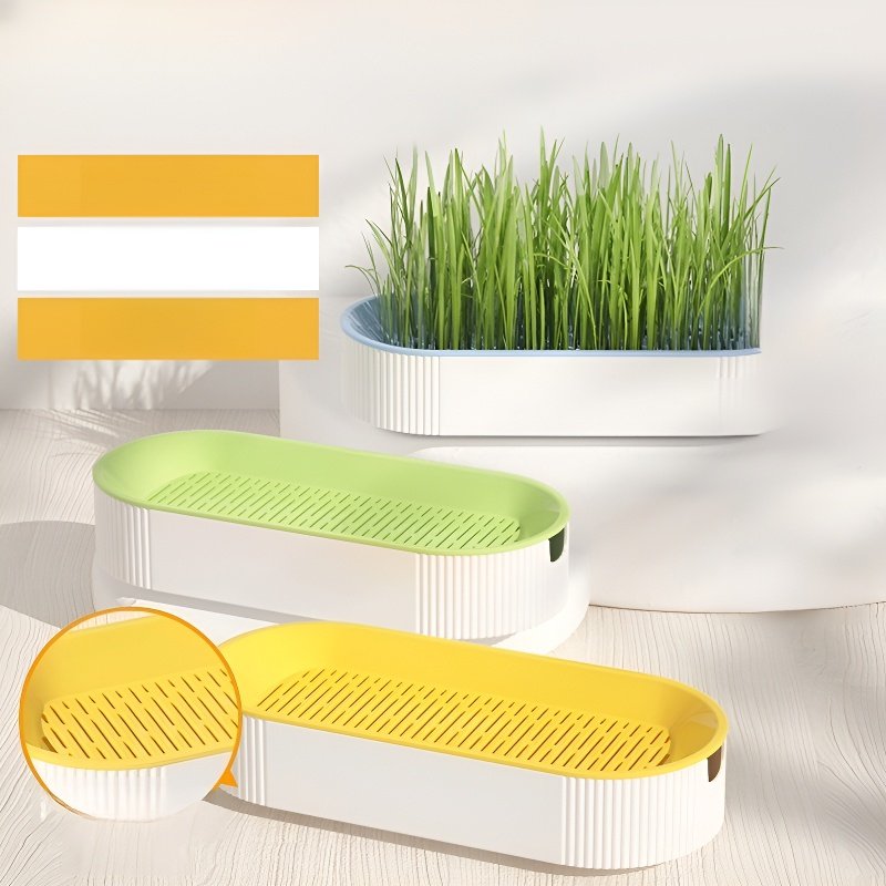 Caja para cultivar hierba para gatos sin tierra