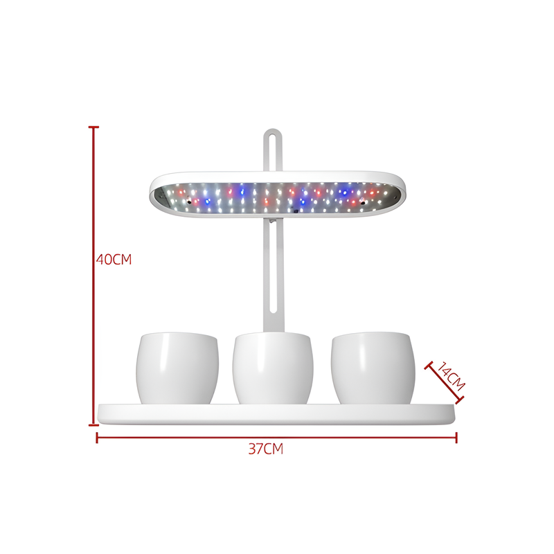 Adjustable Brightness Succulent Grow Light with Timer