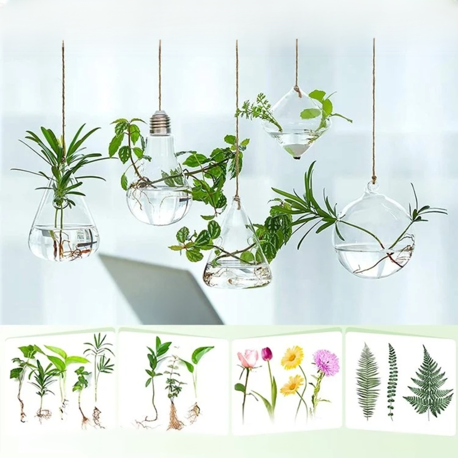 Récipient suspendu pour petites fleurs et plantes hydroponiques