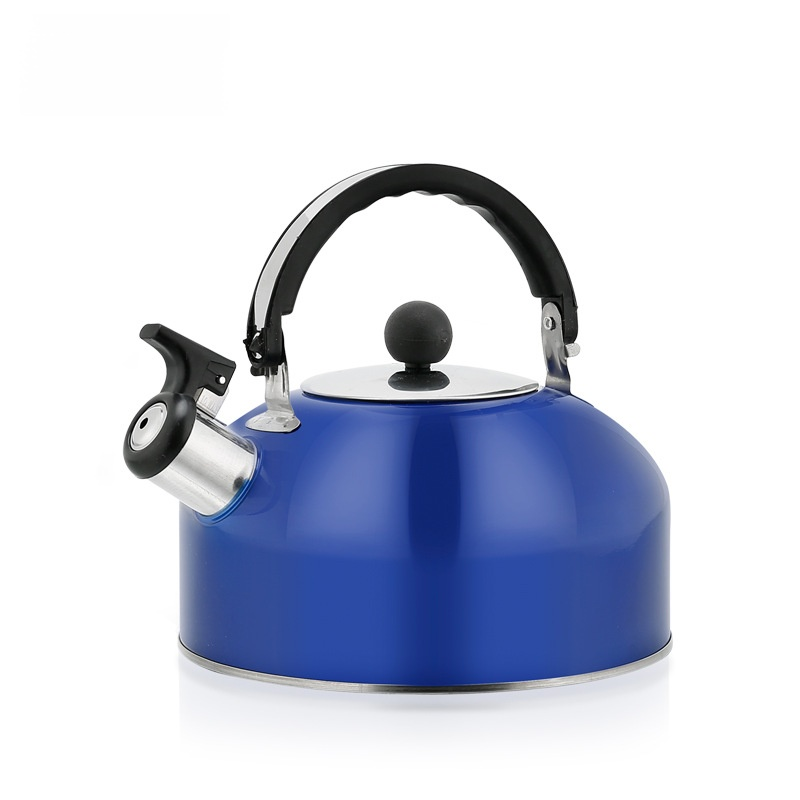 Flat-bottomed stainless steel kettle