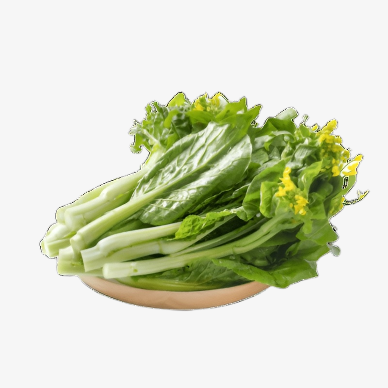 Hochwertige, ertragreiche, frühreife Chinakohlherz-Samen