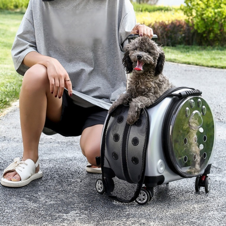 Portable Pet Trolley Case