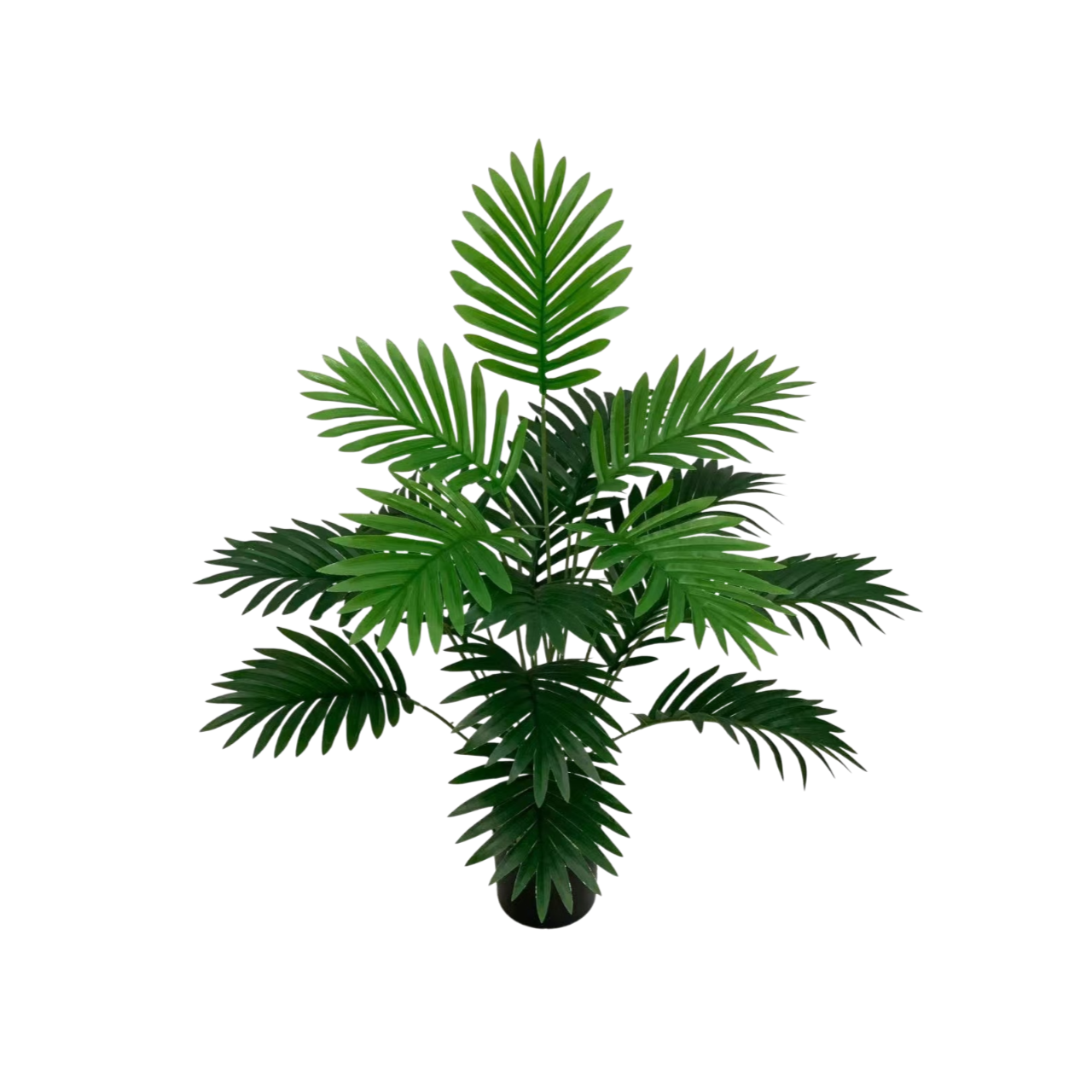 아레카 야자 화분 식물