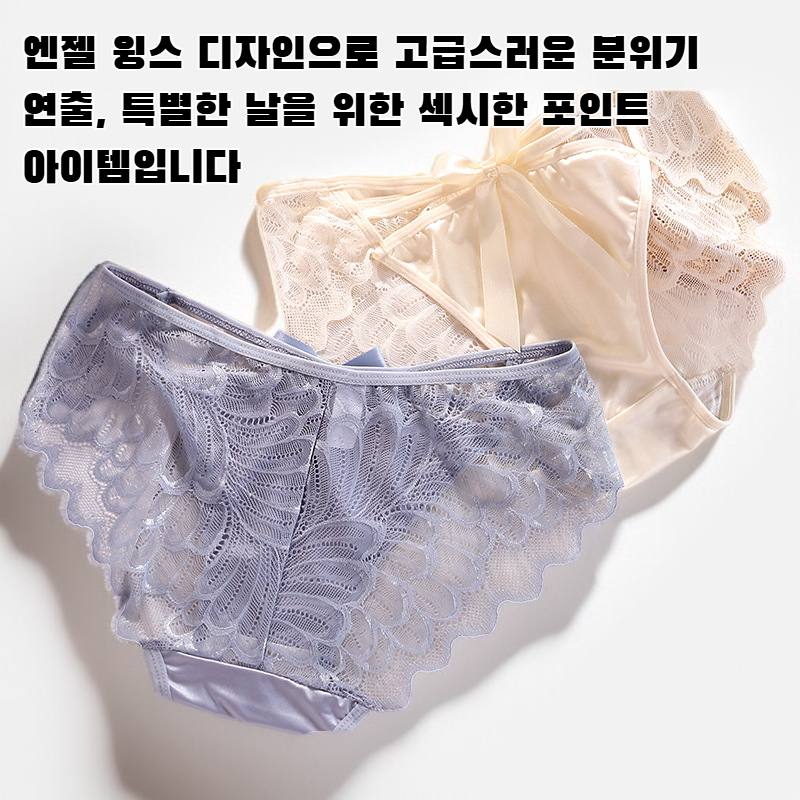 엔젤 윙스 섹시 홀로우 레이스 팬티