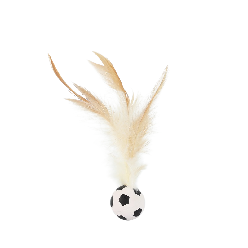 Balle à plumes rebondissante aléatoire