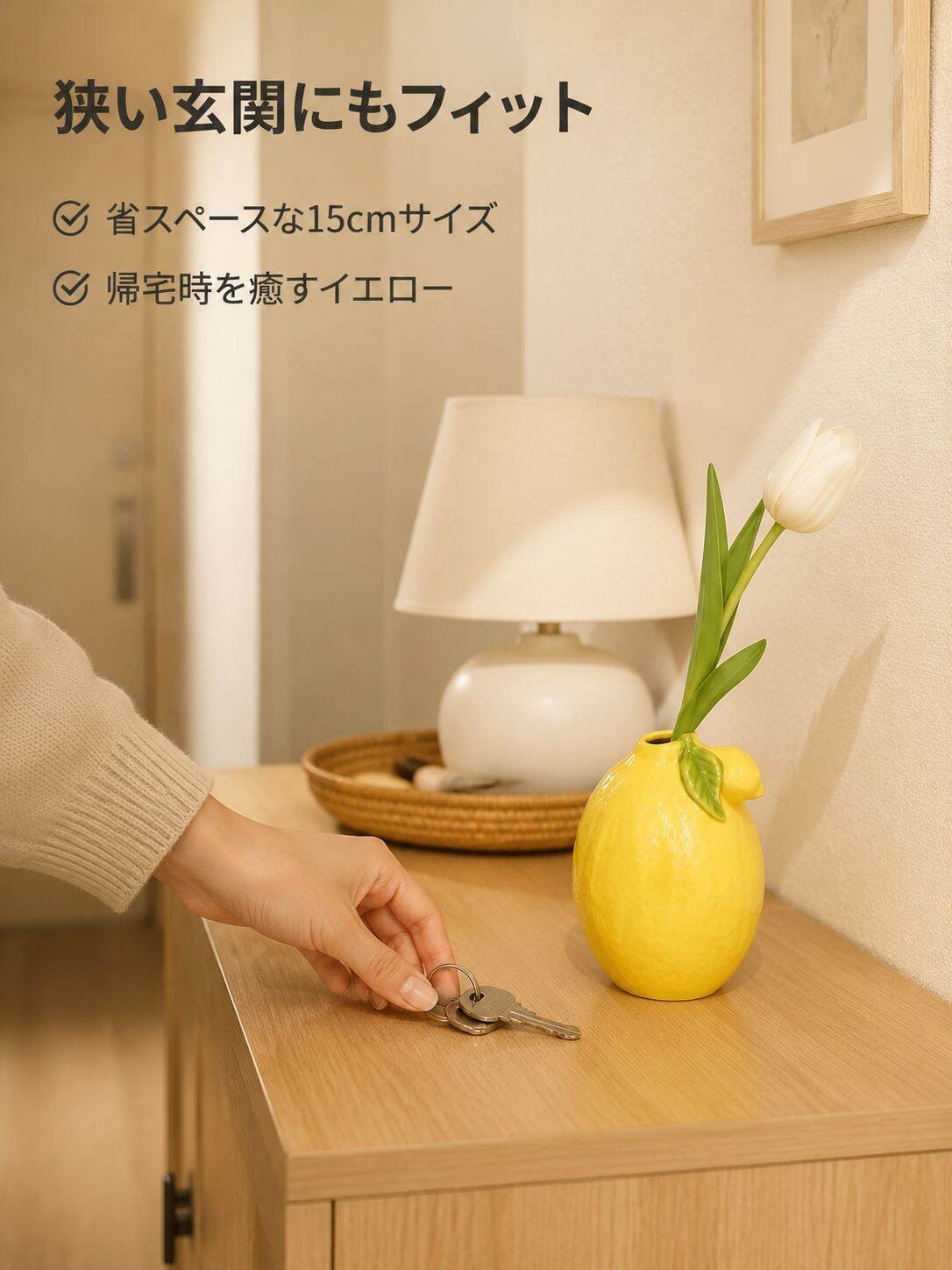 lp-detail-11-场景图6-日本窄玄关互动场景.jpg