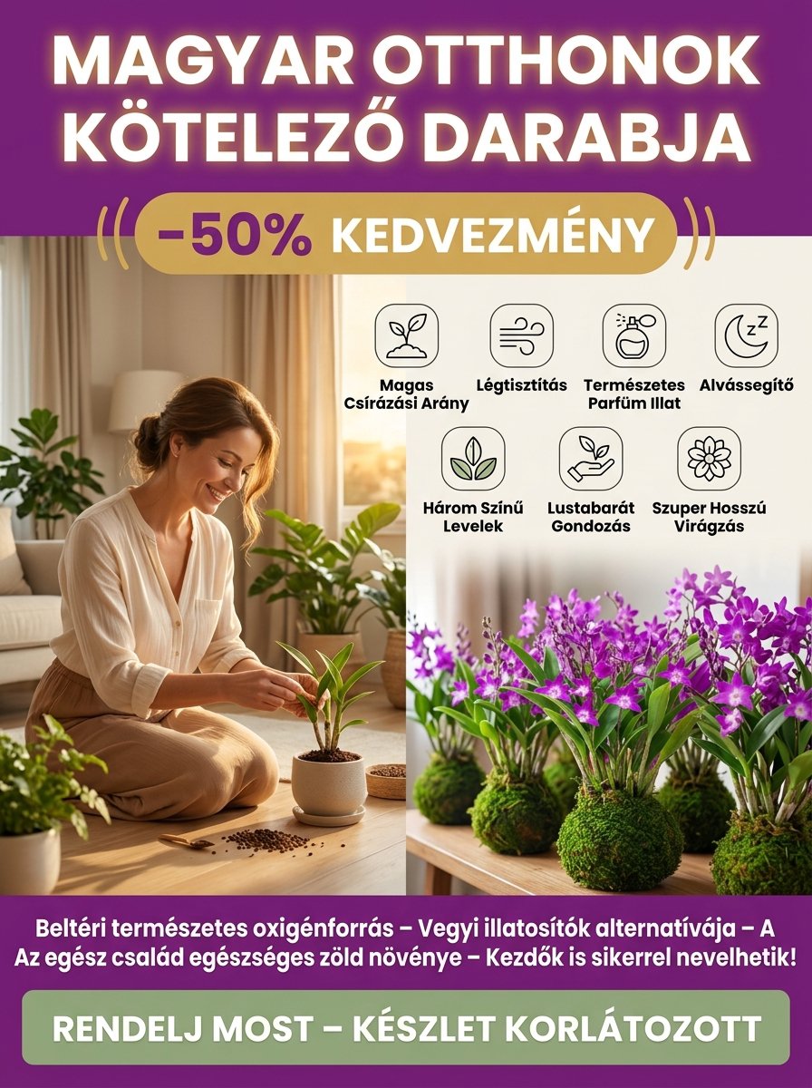 589cc534cca662349d49d41e757b06ba.jpg