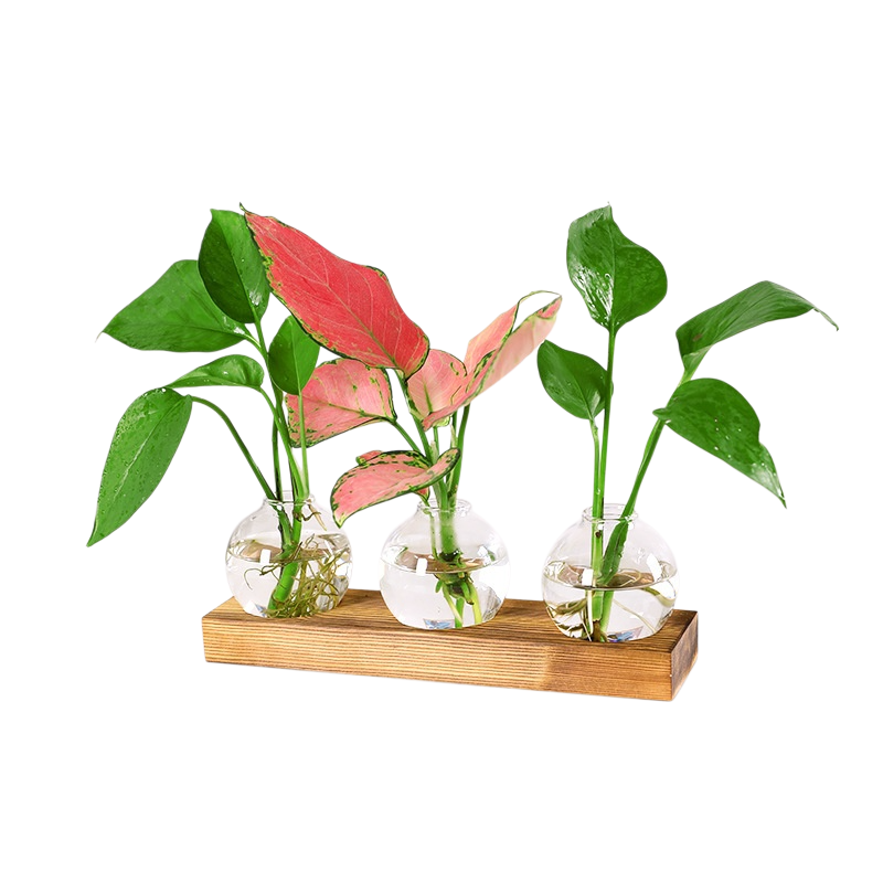 Glass light bulb vase