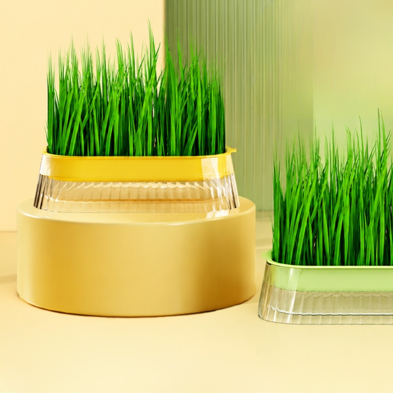 Bean Sprout Hydroponic Planter