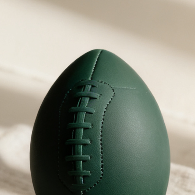 입문자용 럭비볼