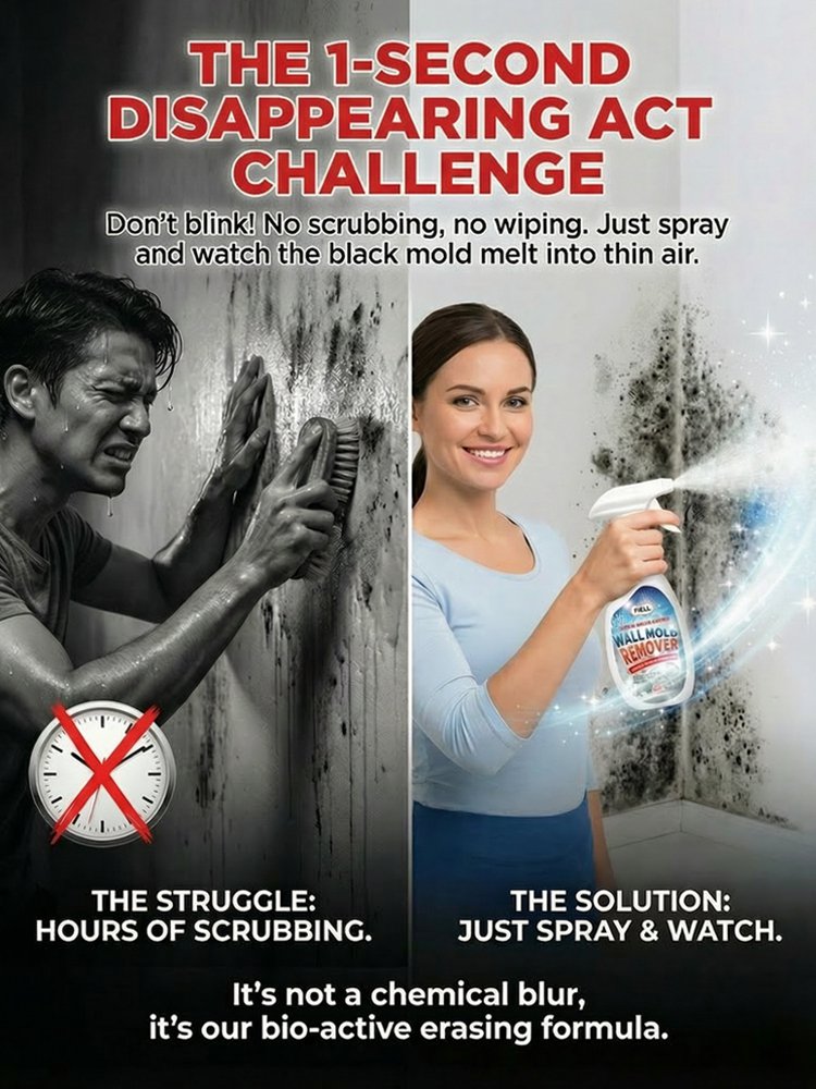 1 Second Wall Mold Removal