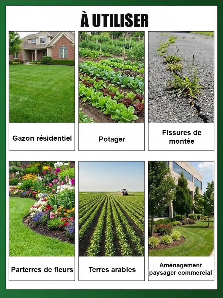 Désherbant Ultra-Concentré |Formule Française | Efficacité 5 Ans | Certifié EFSA ️