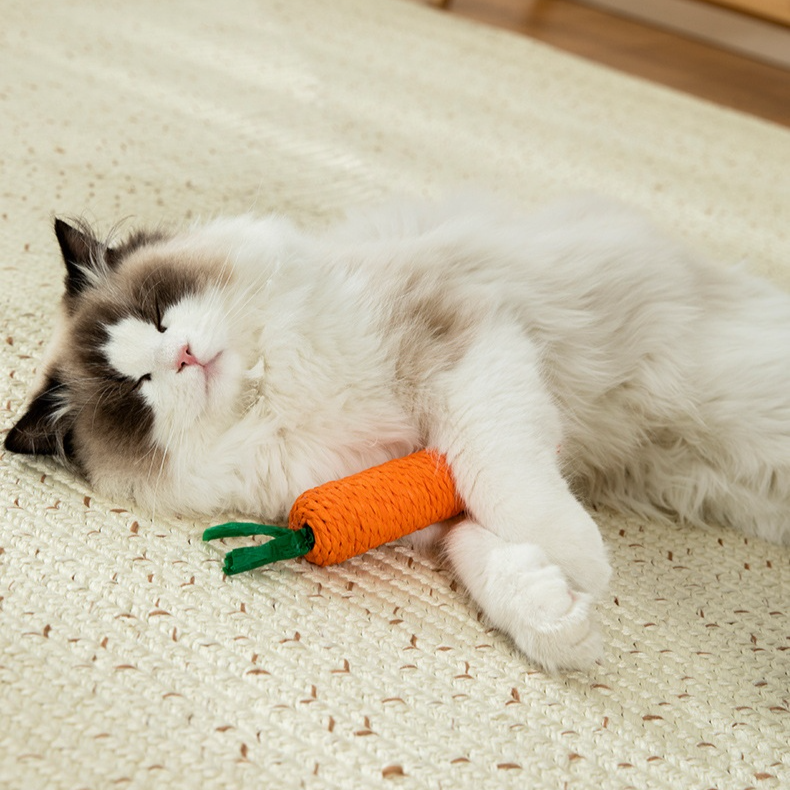 貓咪解悶寵物玩具