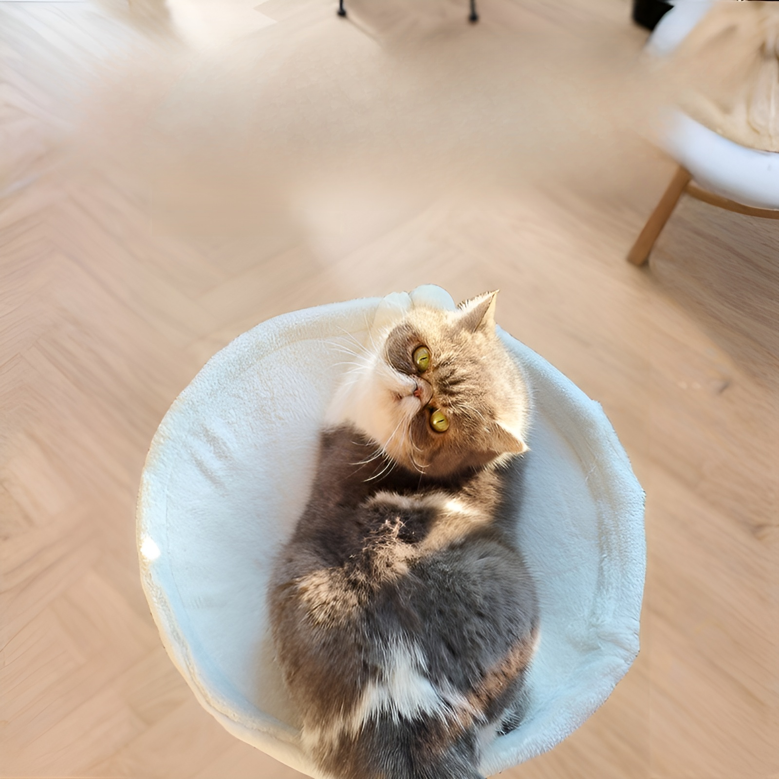Cross-border cat desk hammock can replace cat climbing frame adjustable kitten table bed cat bed pet