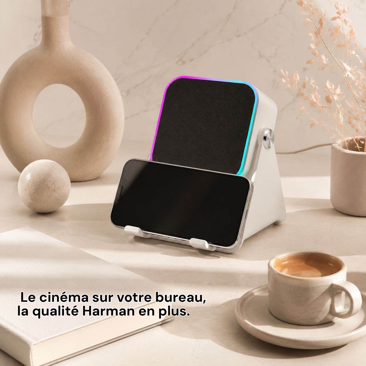 category-2-Audio & Vidéo.jpg