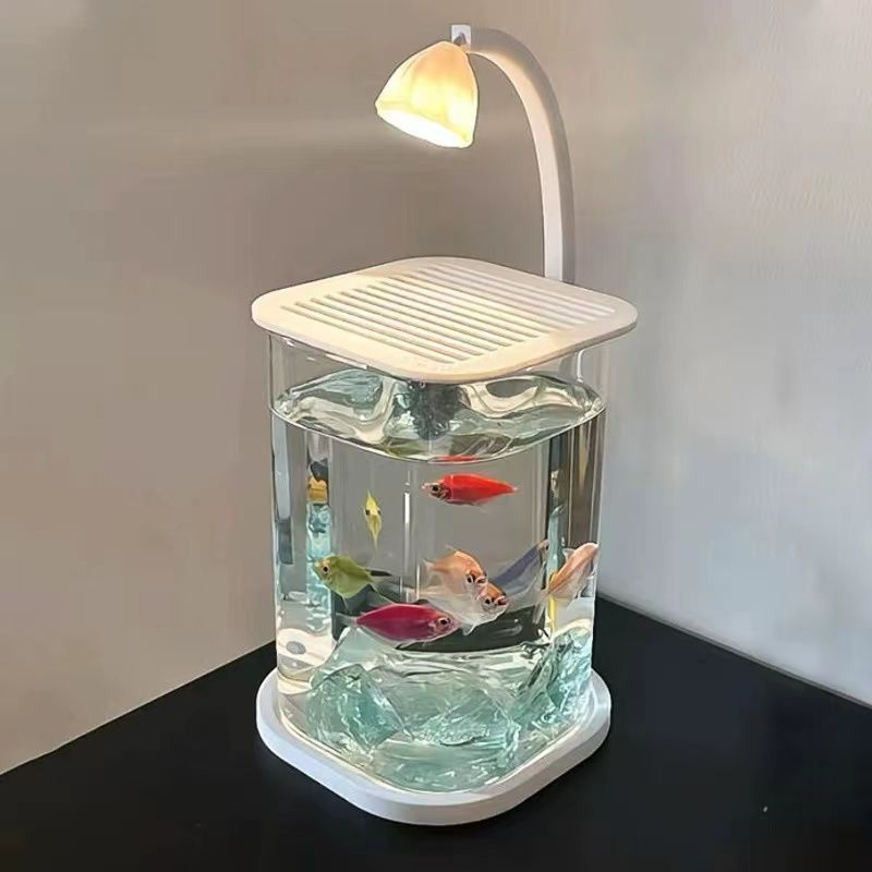 Acuario de cristal para salón, especial para peces betta, decoración moderna, fácil de mantener