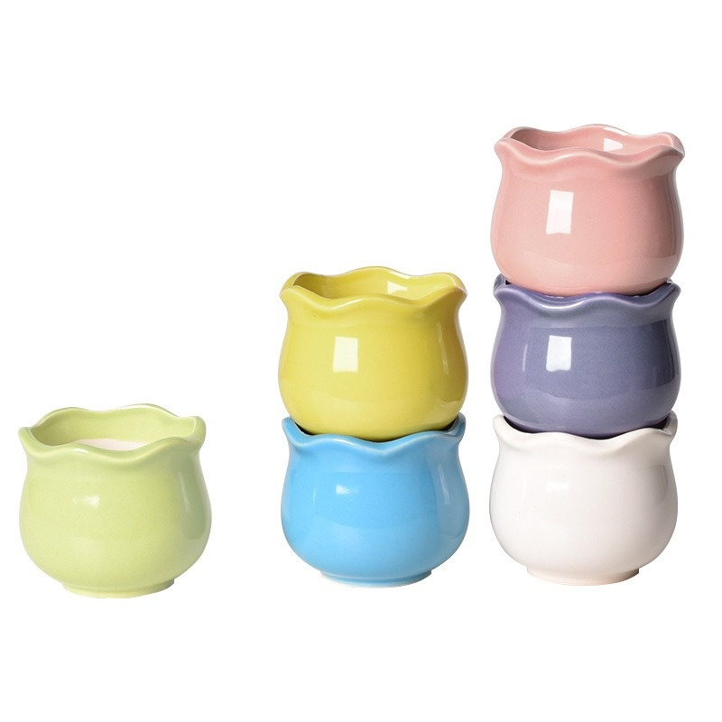 인테리어용 미니 선인장 다육이 화분 세트