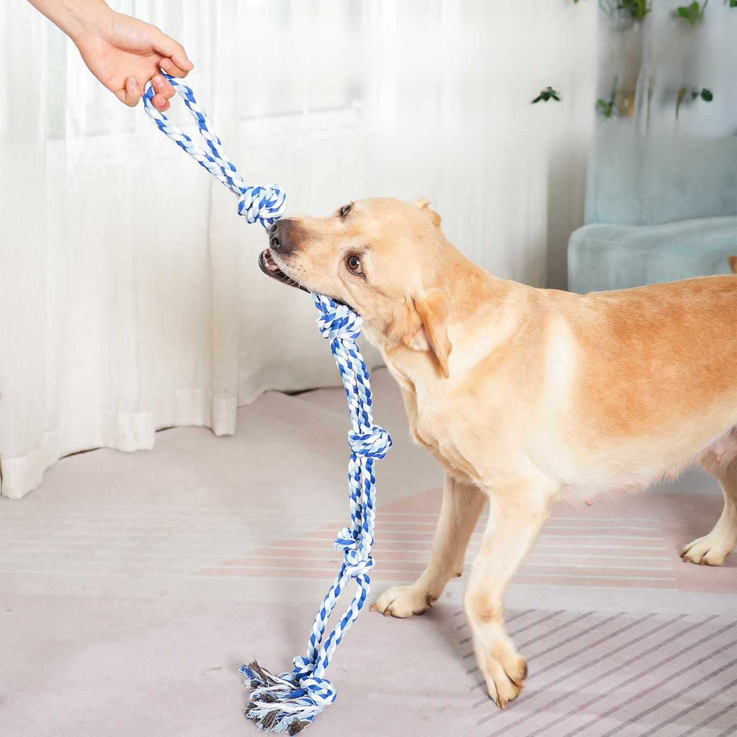 Durable Cotton Rope Toy for Large Dogs, Tug-of-War Chew Knot