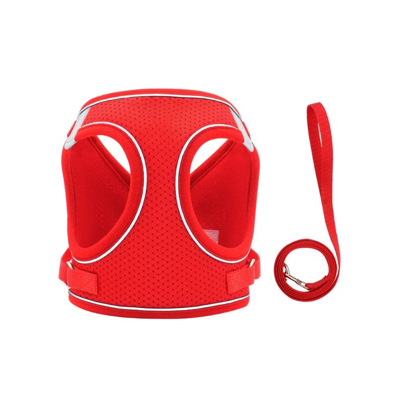 ปลอกคอสุนัข