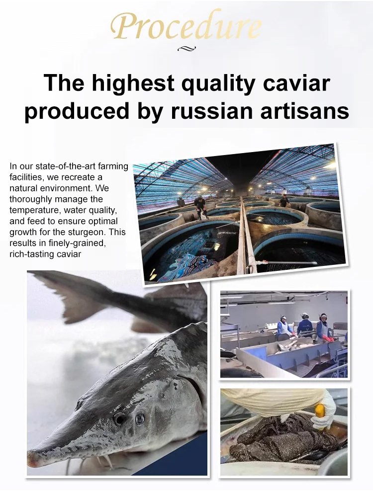 imported sturgeon black caviar