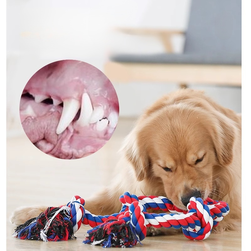 狗狗拔河咬繩玩具繩結球大型犬麻繩耐咬磨牙