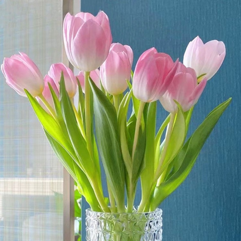 Hydroponic tulips