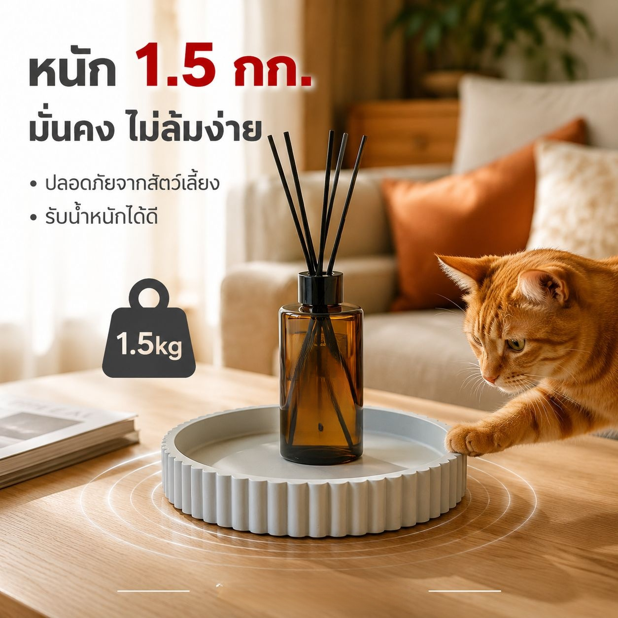 ถาดทรงกลมสไตล์โมเดิร์น โต๊ะกาแฟ ที่เก็บของและของตกแต่งบ้าน