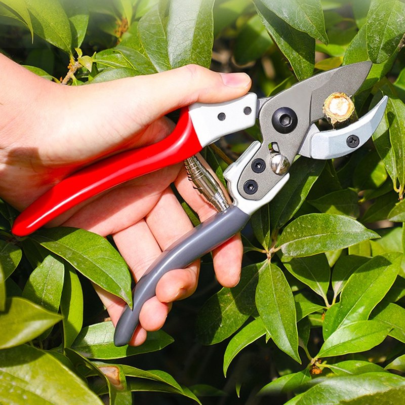 Steel Strong Garden Branch Scissors