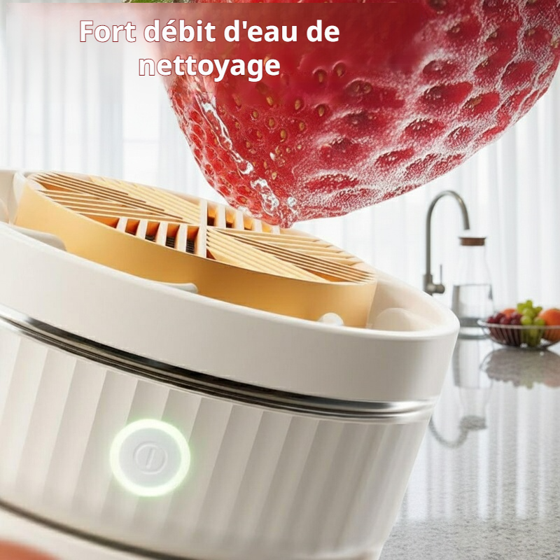 Protection contre pesticides et bactéries avec purificateur électrique