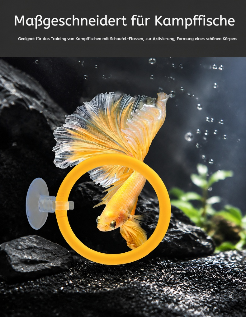 Hochwertiger Trainingsring für Betta-Fische
