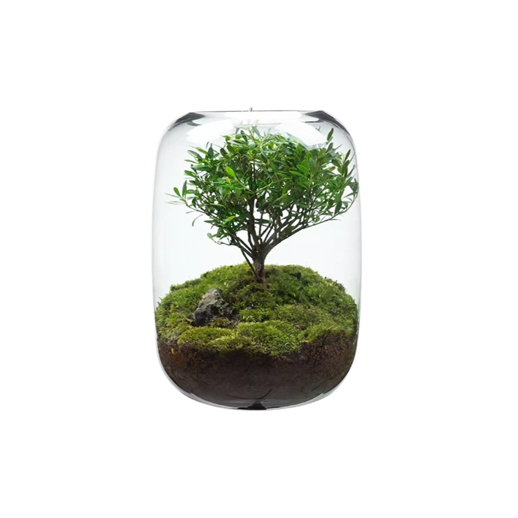 ミクロ景観エコボトル花瓶盆栽