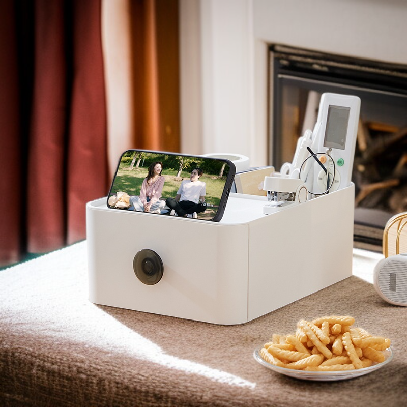 Große Aufbewahrungsbox mit Trennwänden