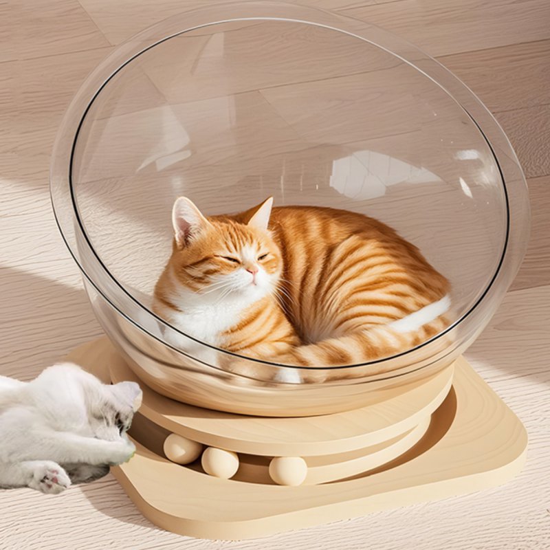 캡슐 고양이 침대