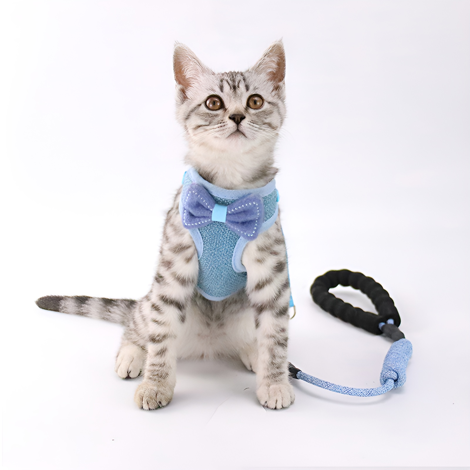 胸と背中を通す猫用散歩リード