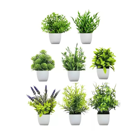 Home Decor Lavender Green Plant