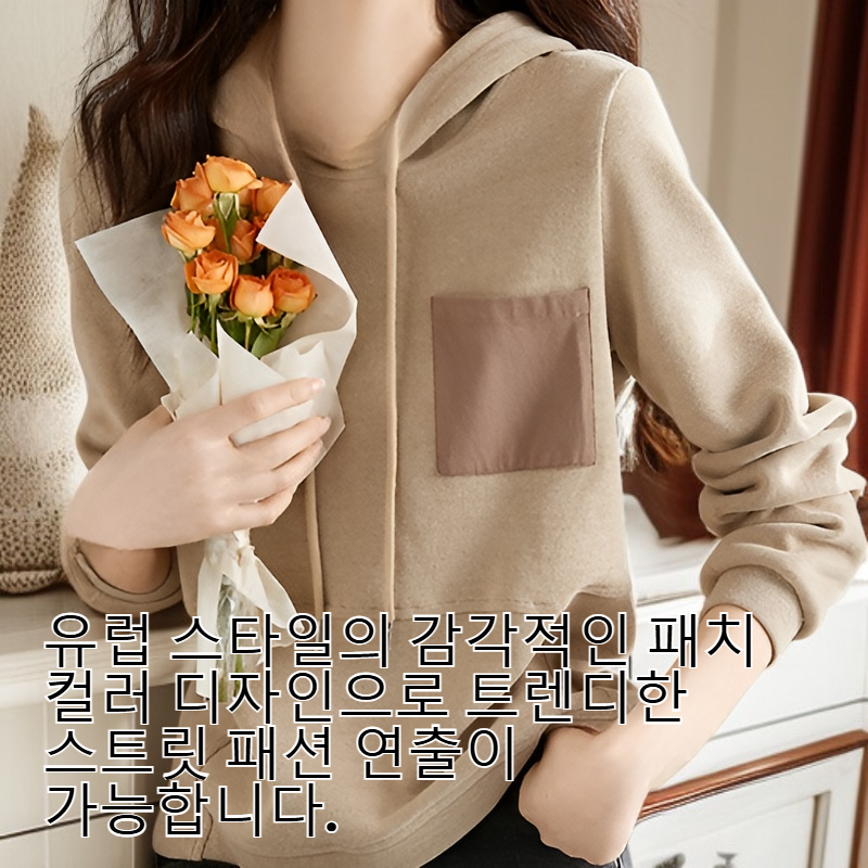 유럽 스타일 컬러 블록 포켓 후드티 가을 캐주얼 루즈핏 스트리트 패션 기본 티셔츠