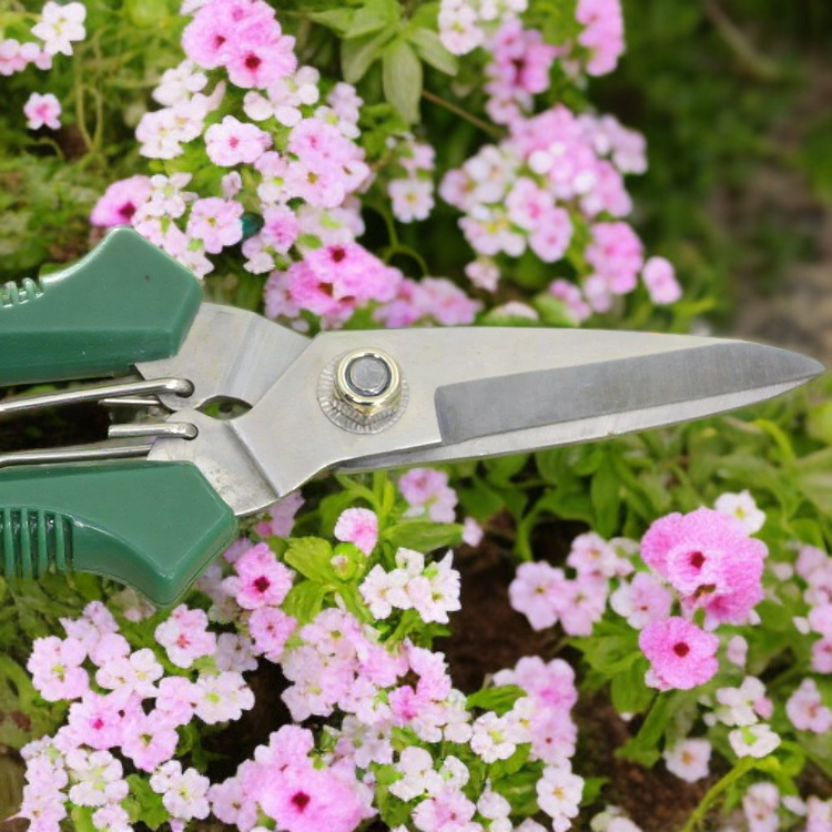 내구성 뛰어난 원예 가지치기 가위