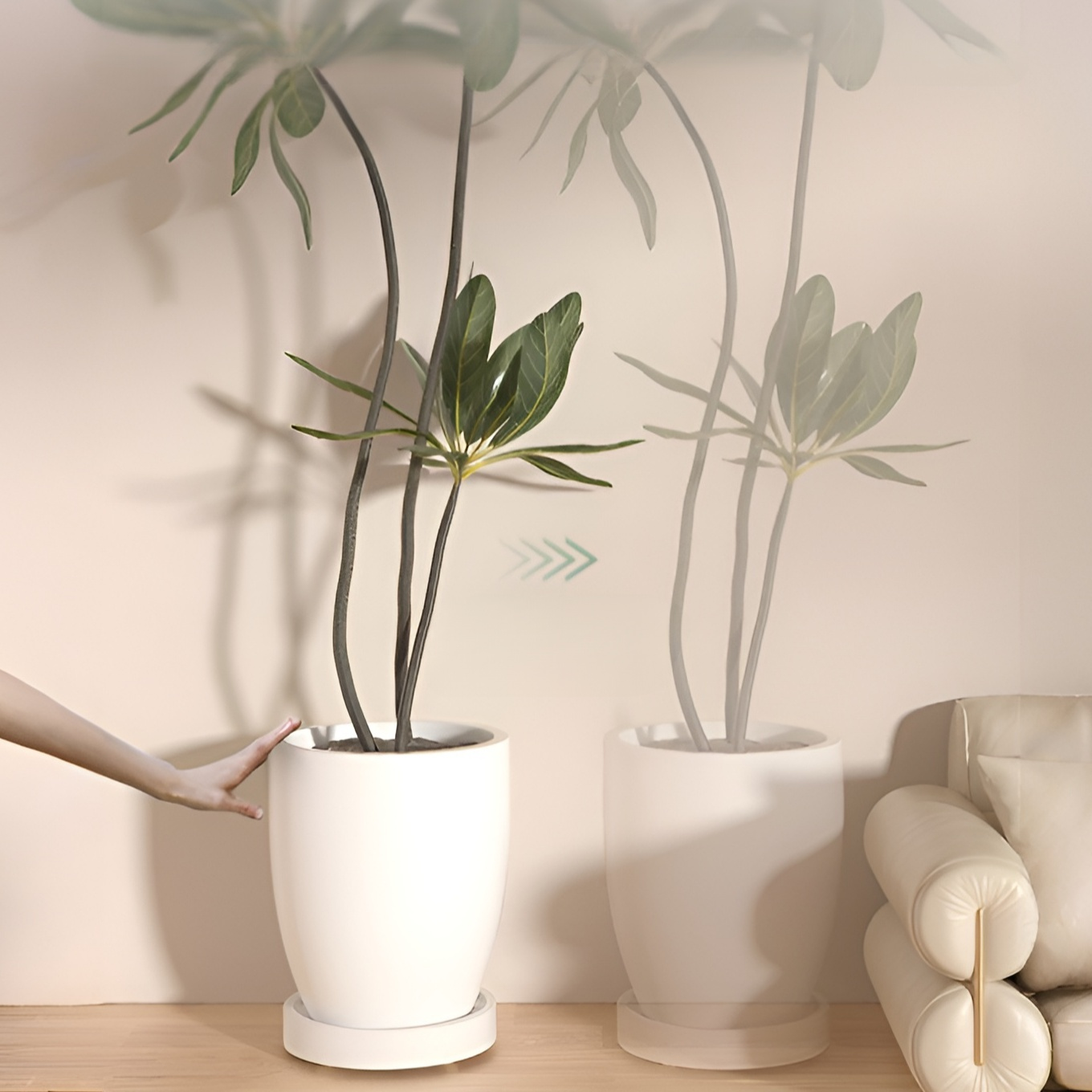 ฐานรองกระถางต้นไม้เคลื่อนที่ได้ พร้อมกล่องเก็บน้ำแบบลิ้นชัก เงียบและไม่รบกวน