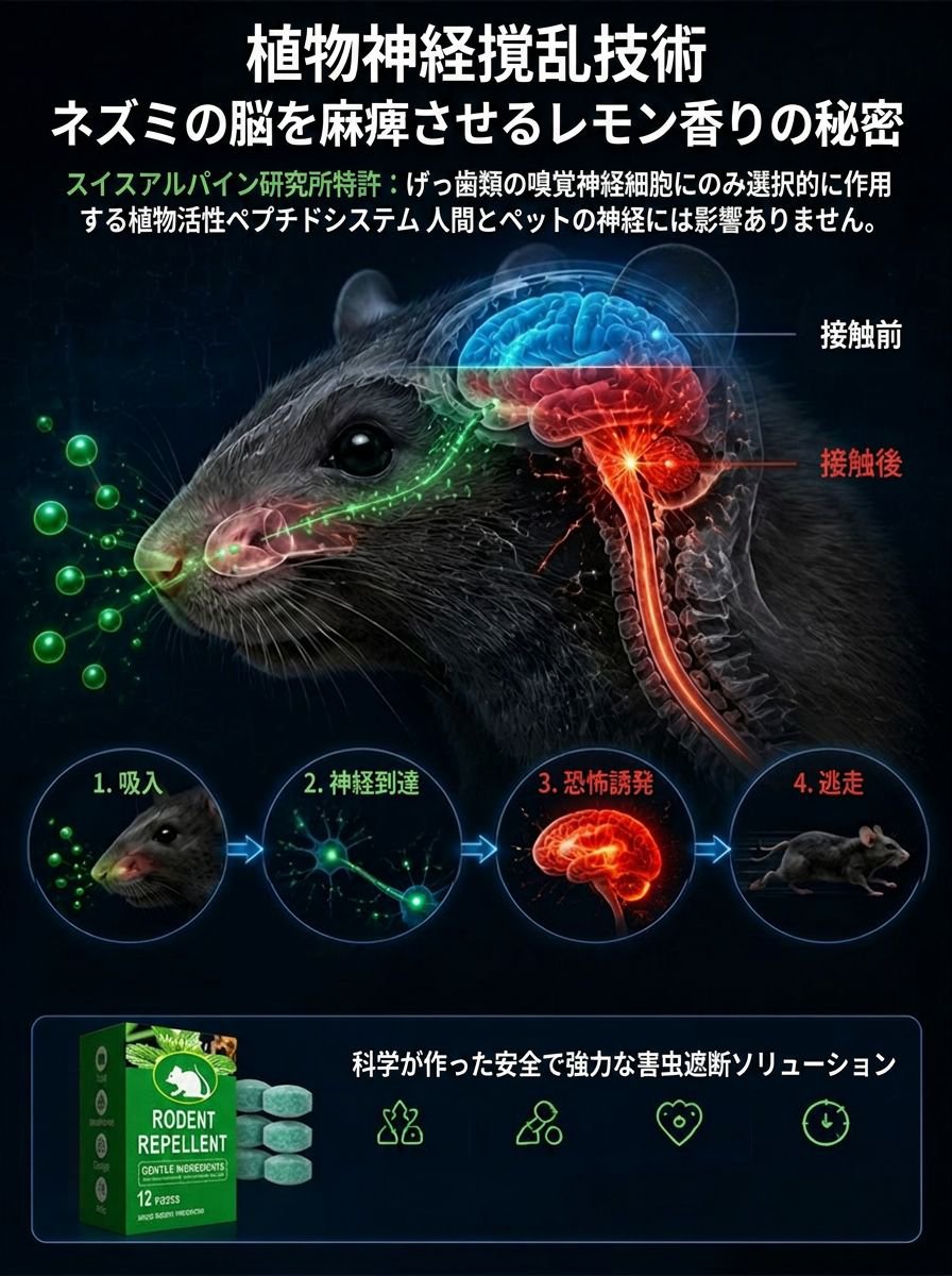 科学技術原理説明.jpg