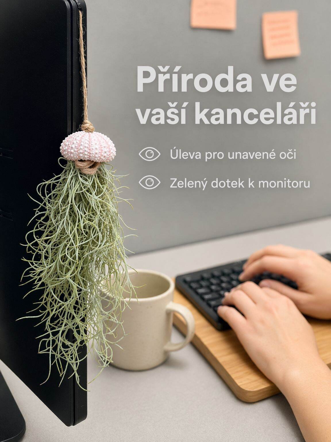 Unikátní kombinace tillandsie a mořských prvků